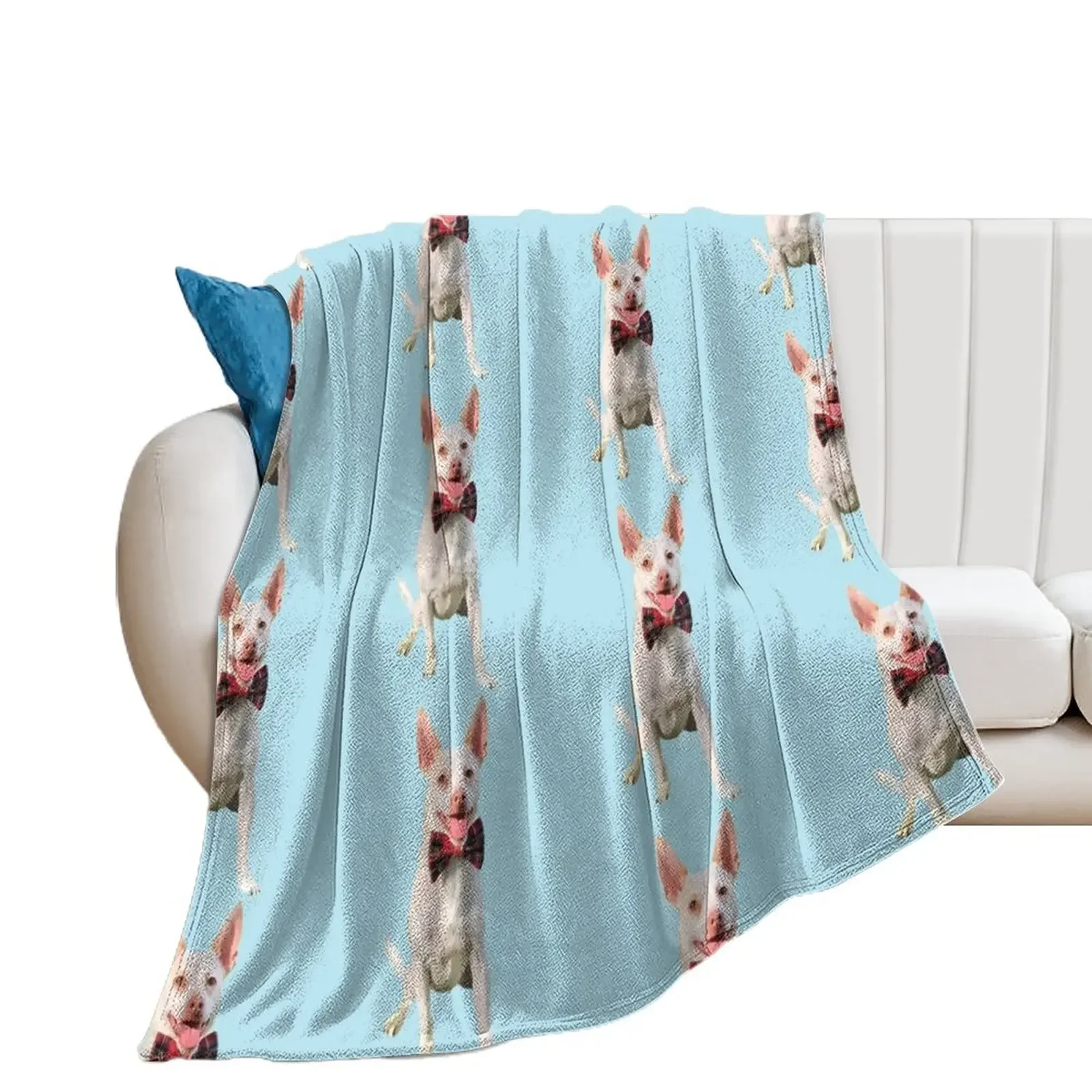 Suave Dog Throw Blanket Decorative Sofas For Sofa Thin Hair Blankets