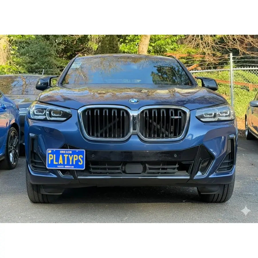 Soporte para matrícula Platypus compatible con BMW Serie 4 i4 X4 20202025 Sin instalación de perforación en segundos Fabricado en acero inoxidable