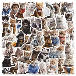 Gatos com roupas adesivos para crianças, adesivos estéticos dos desenhos animados, telefone, laptop, bagagem, geladeira, adesivos criativos, fofos, 50pcs