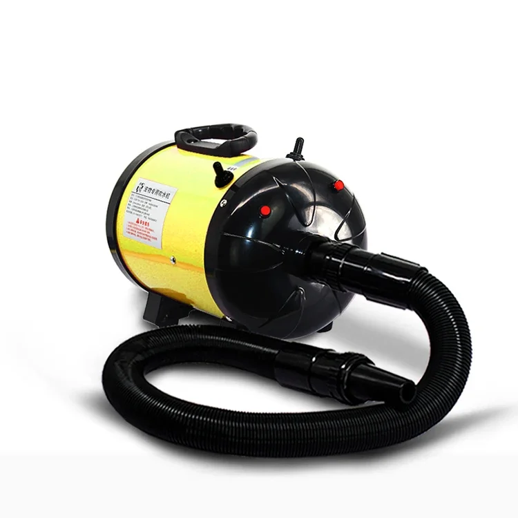 2020 Latest Hot Sale High Speed 2400W Pet Blower Dryer Dog Dryer Machine