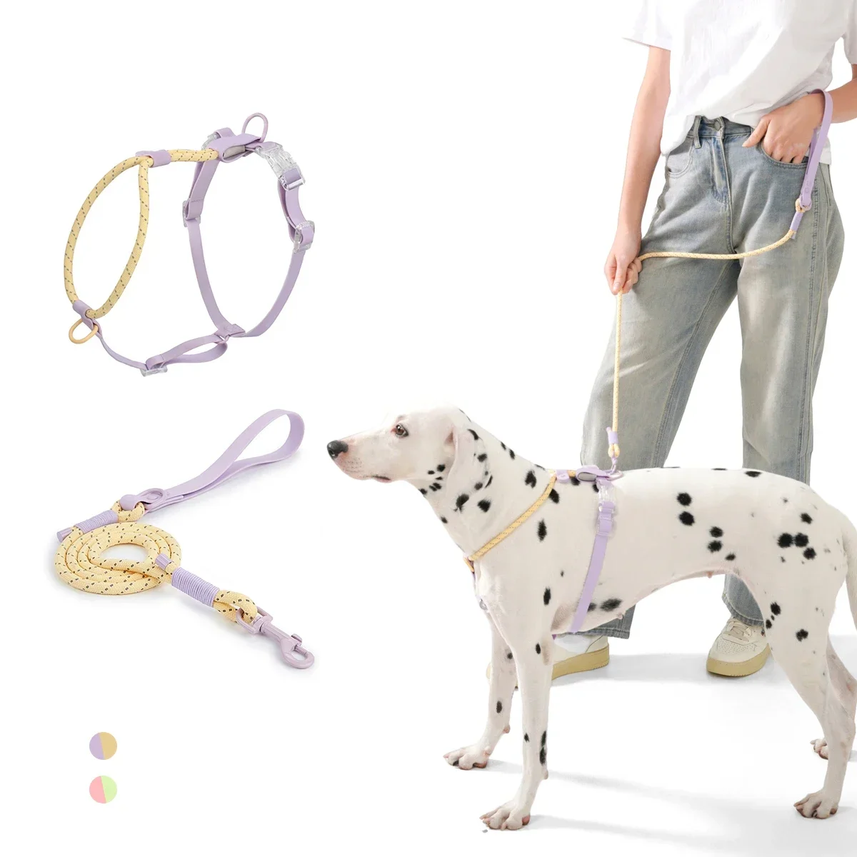 yZ[z^E^pT}[n[lXAybǧ̎UAjOAAEghAt@bVn[lXAm[vS˃iC[h