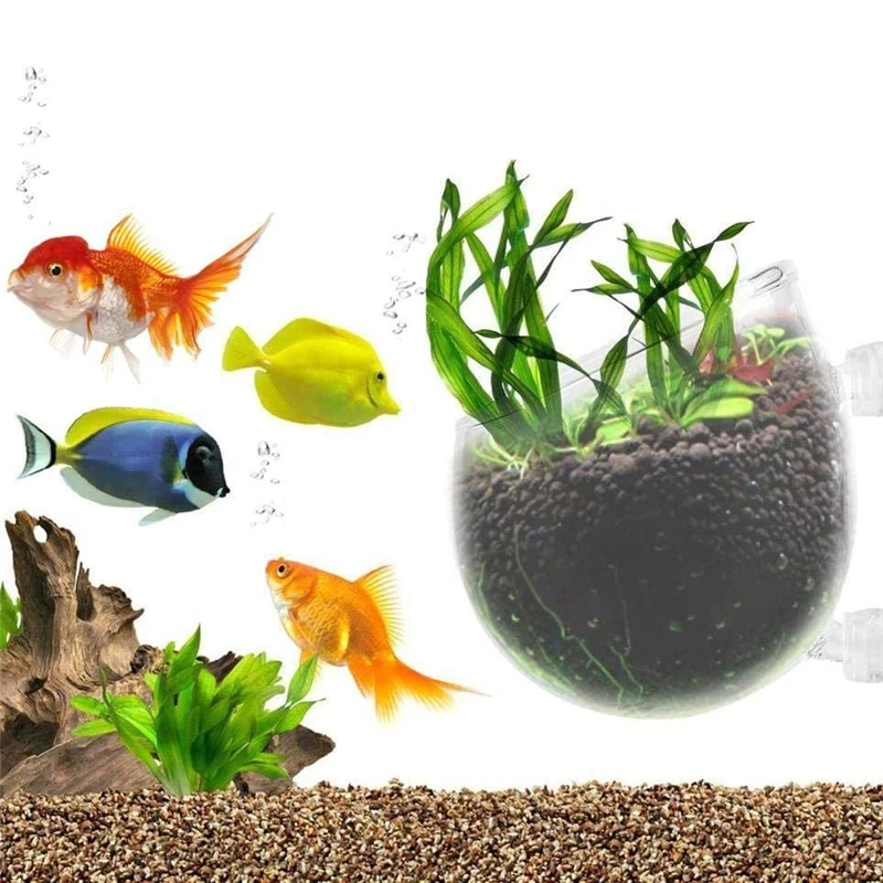 Aquarium Plant Pot Glass Cylinder Cup With Suckers For Cultivate Aquatic Plant Seeds Coral Moss Fish Tank Decoration Accessory