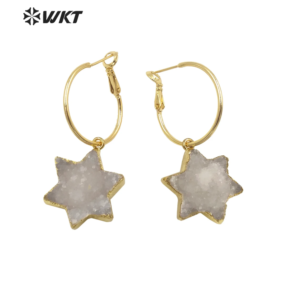 WT-E739 Lovely Star Design Yellow Brass Round Shape Druzy Quartz Stone Earring For Girls Adorable Dressing Decorative