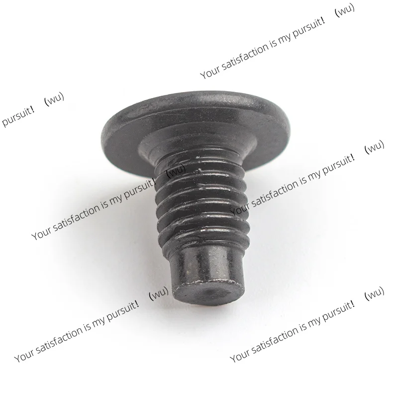 Door Lock Motor Retainer Screws for Peugeot 301 308 408 2008 3008 508 C5 for Citroen C4L