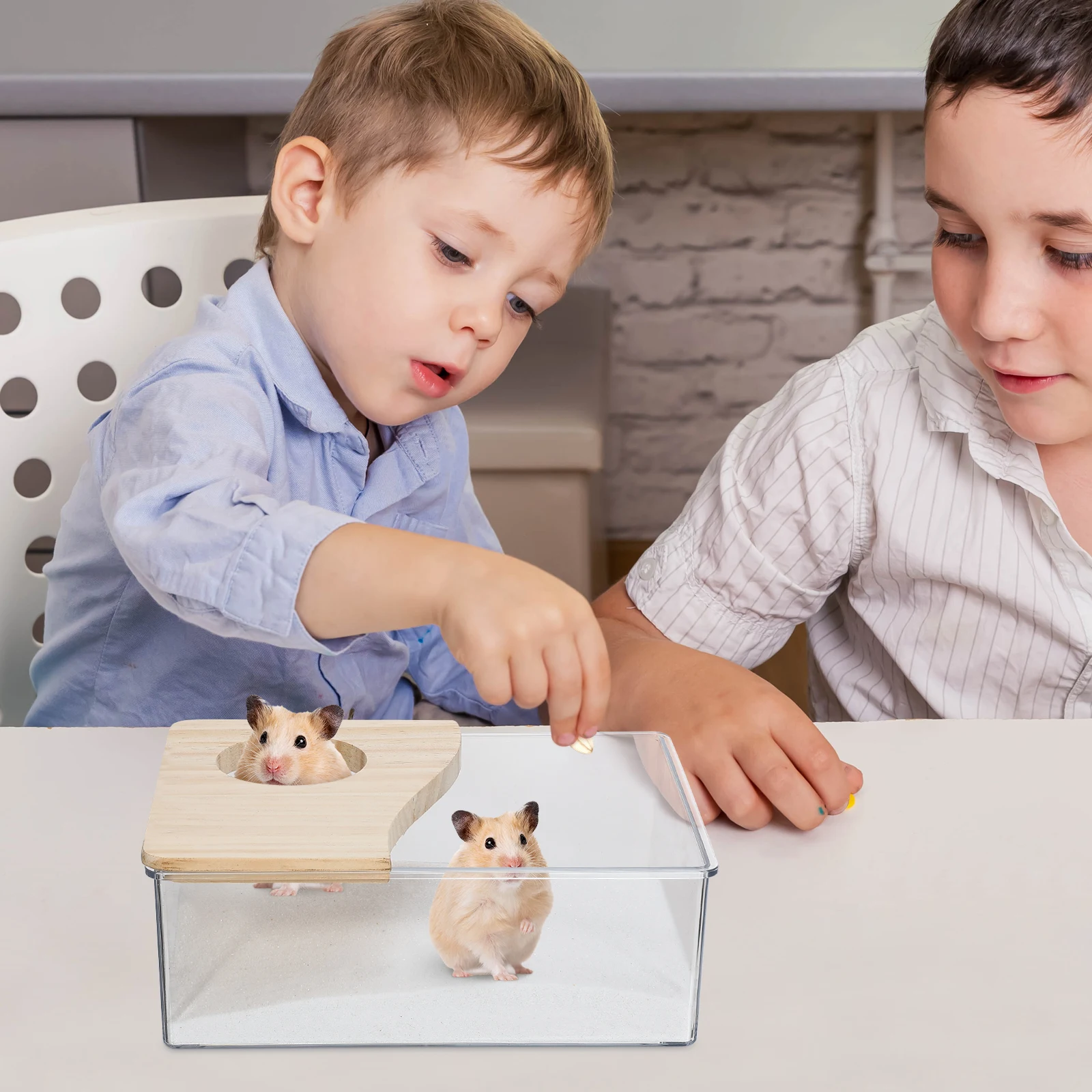 

1pc Hamster Bath Box Transparent Digging Sand Container For Small Pets Pet Supplies Bathtub Toilet Shower Case Bathtub Supplies