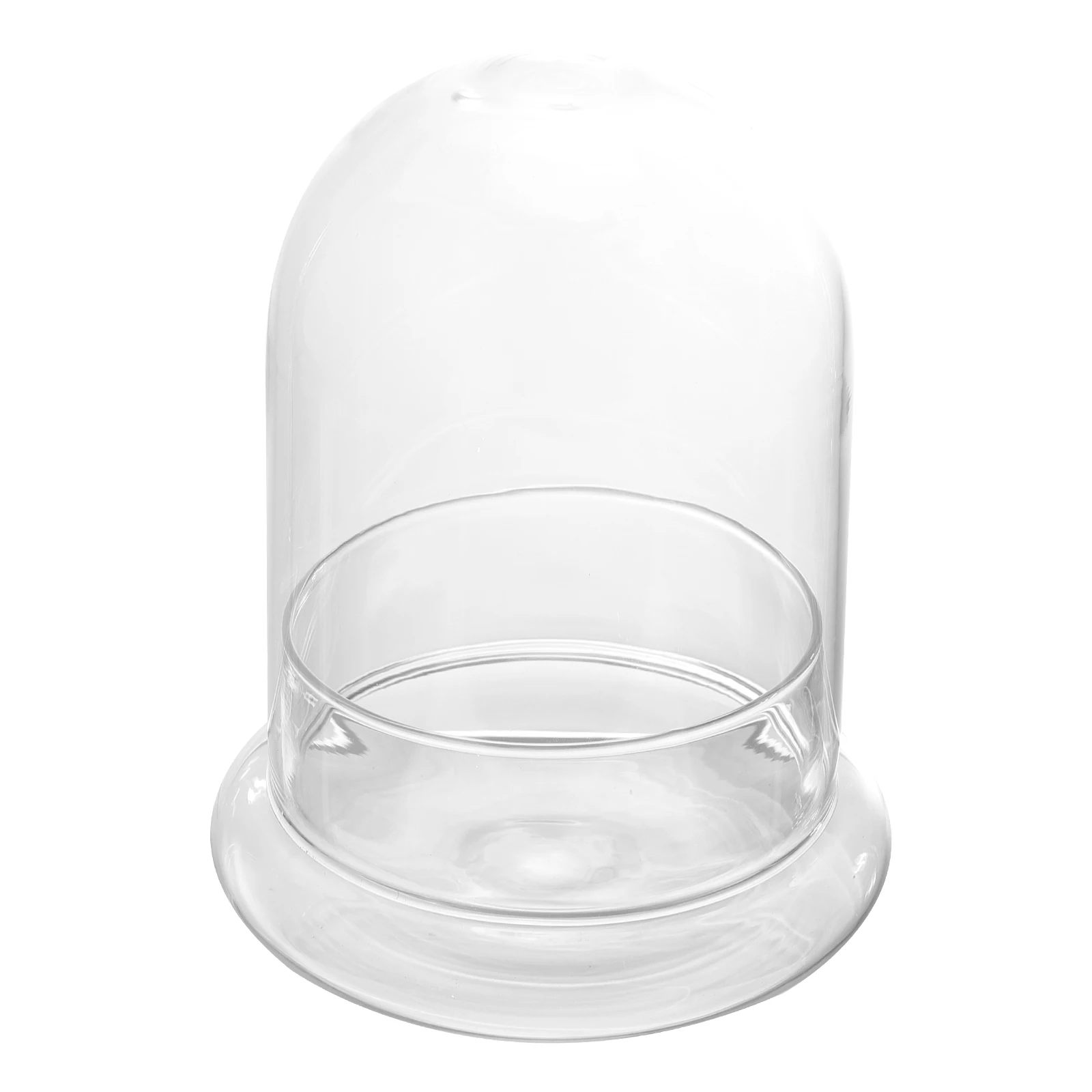 

Ecological Bottle Moss Mini Small Bottles Miniature Glass Terrarium Jar Transparent Plant Vintage for