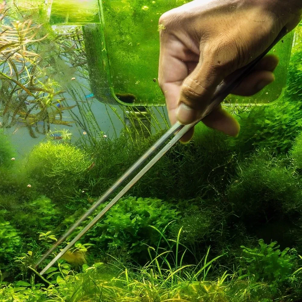 5-In-1 Set Aquarium Cleaning Tool Stainless Steel Anti-Rust Waterscape Accessories Flexible Construction