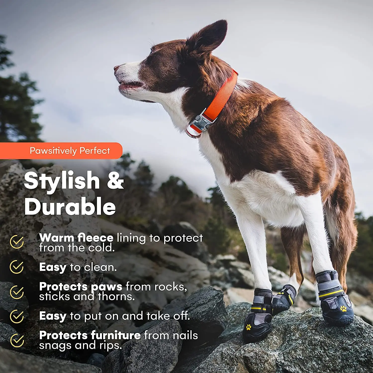 

Fashionable pet shoes for dogs. Four shoes. Foot covers and socks. Suitable for small and large dogs. Anti-dirty and waterproof
