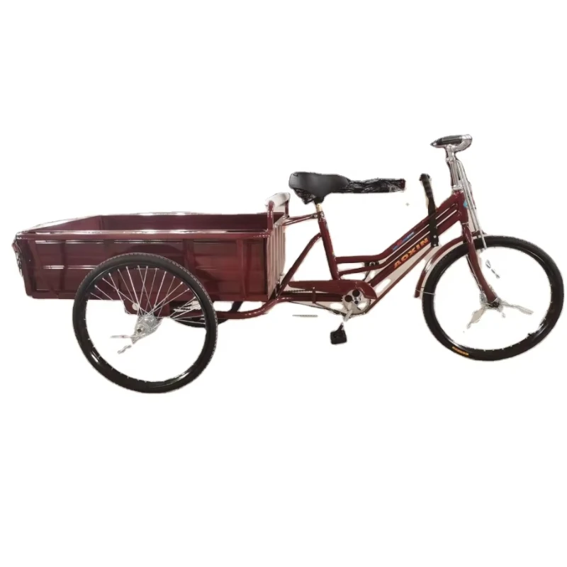 

3-Wheel adult human-powered bicycle with rear seat