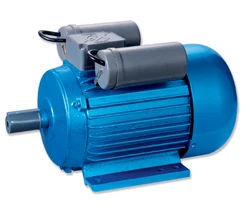 Electric Motor IP54/55 220 Volt Ac Electric Motor