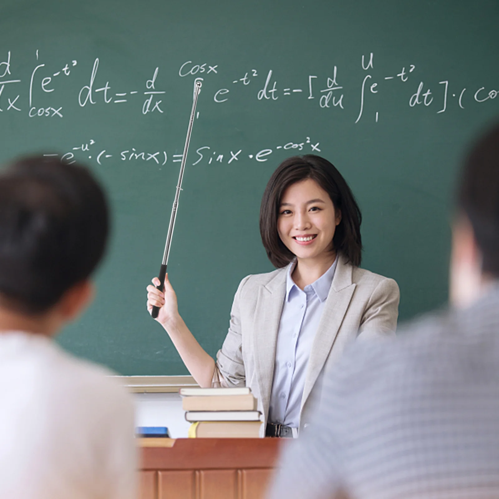 Telescopic Flag Pol…