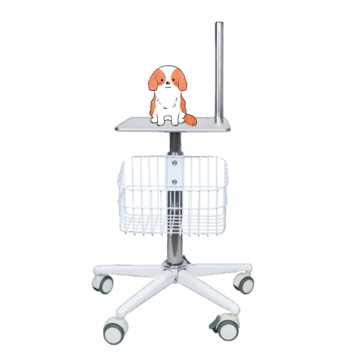 Veterinary Warming System Clinic Accessories Stainless Steel Cart Reusable Insulated Blanket, Animal Body Warming
