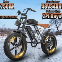 Electric Bicycle JANSNO 750W Motor 48V34AH Dual Lithium Battery E Bike Hydraulic Brake 20*4.0 Inch Fat Tire Snow Electric Bike