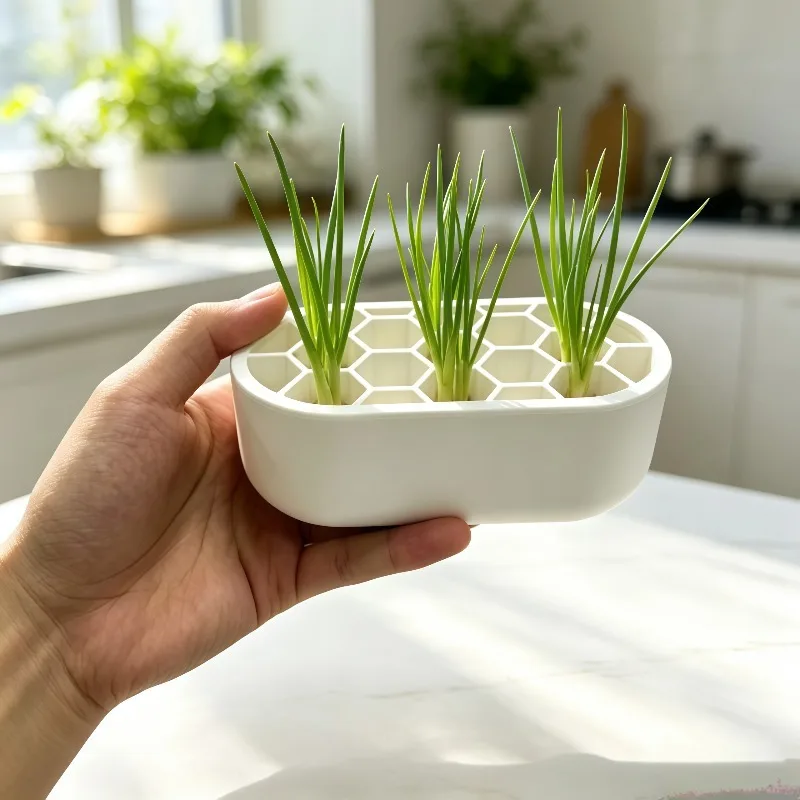 10/4 Piece Set Small Hydroponic Onion and Garlic Growing Boxes, Indoor Onion Seedling Transplanting and Planting, Hydroponic Containers, Soilless Indoor Onion Seedling Cultivation, Space-Saving Planting Solution, Suita