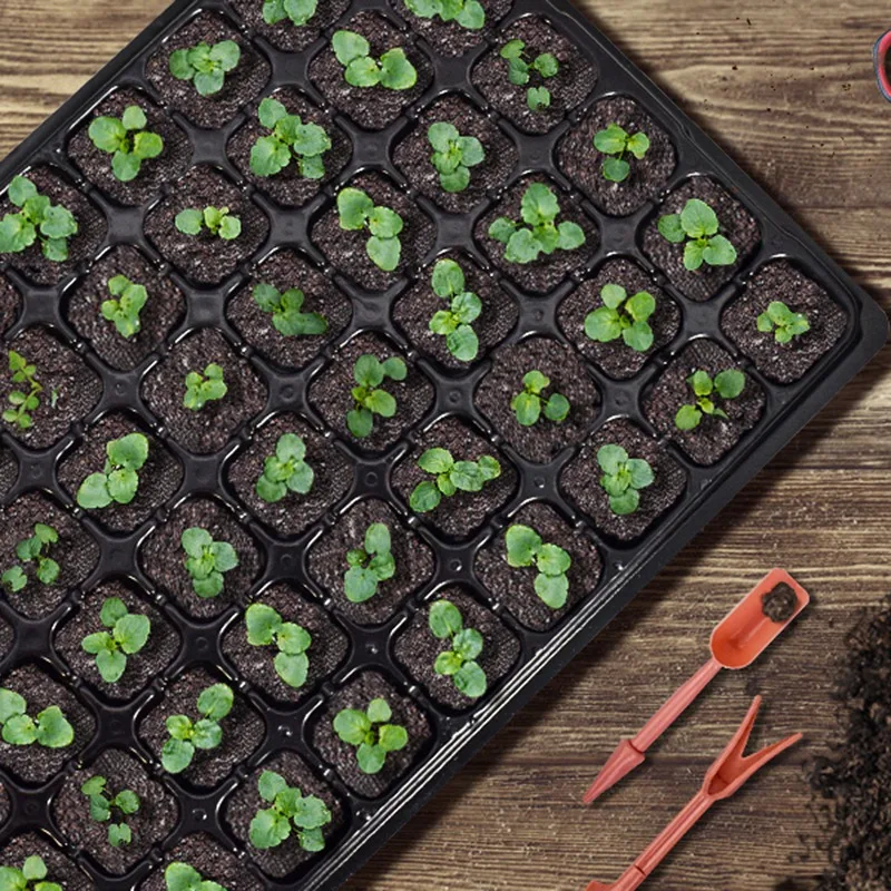 

Новейшие стартовые лотки для семян, 10 штук, лотки для рассады на 72 ячеек со сливными отверстиями, стартовый набор для многоразового использования, мини-растение для размножения