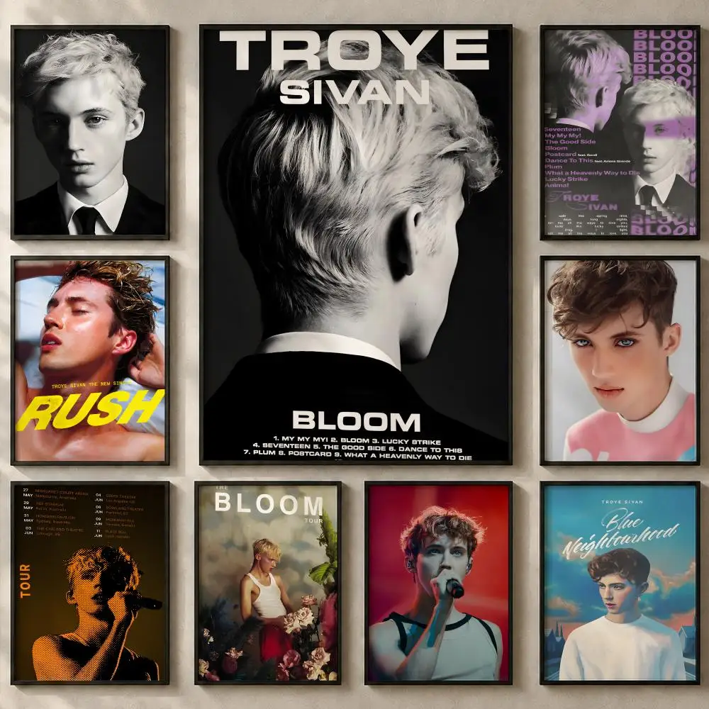 Singer T-Troye SivanS Poster Art  Self-Adhesive No Glue Residue Wall Sticker for Home Office Nursery