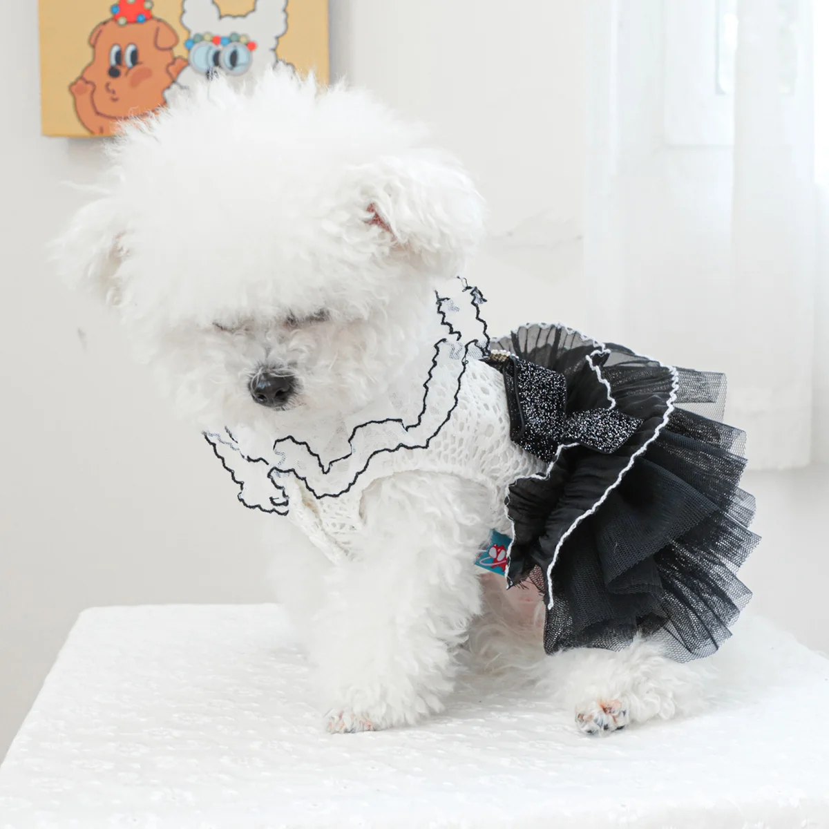 1PC Pet Clothes Spring and Autumn White Black # 19 Wedding Dress Princess Dress Suitable for Small and Medium sized Dogs