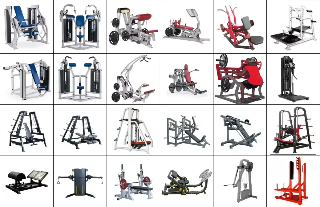 Arms Strength Machine Seated Triceps Biceps Curl Professional Gym Fitness equipment Body Building Machine Exercise