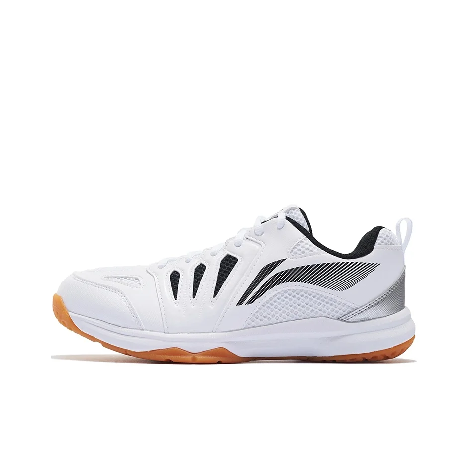 Li-Ning Ace Badminton Shoes AYTP011-15