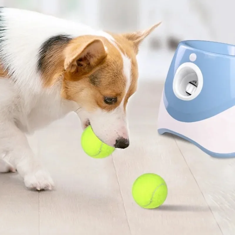 ‌ قاذف كرة الكلاب الأوتوماتيكي - آلة جلب ذكية مع بطارية طويلة، قاذف كهربائي لتدريب وتمارين الجرو