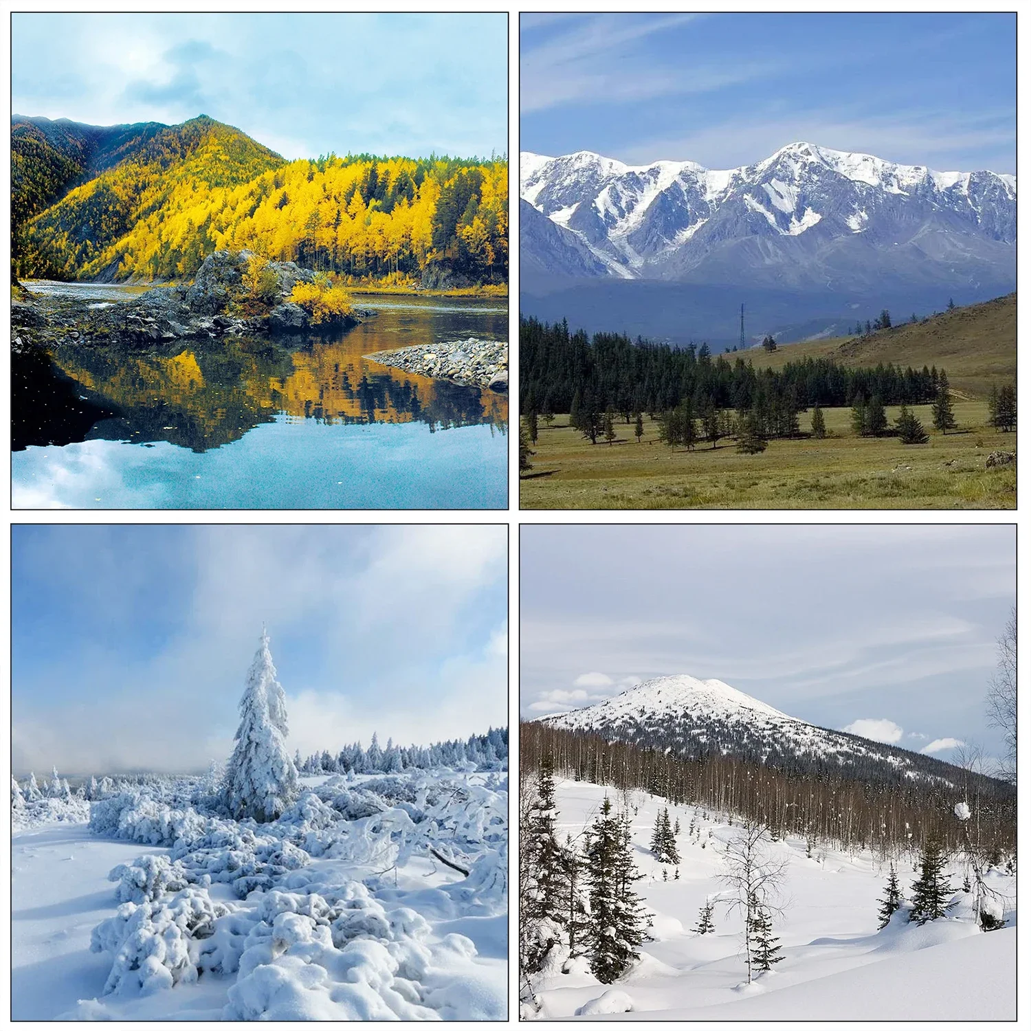 Thumbnail 4 - #36 Trending Lens Bags Right Now