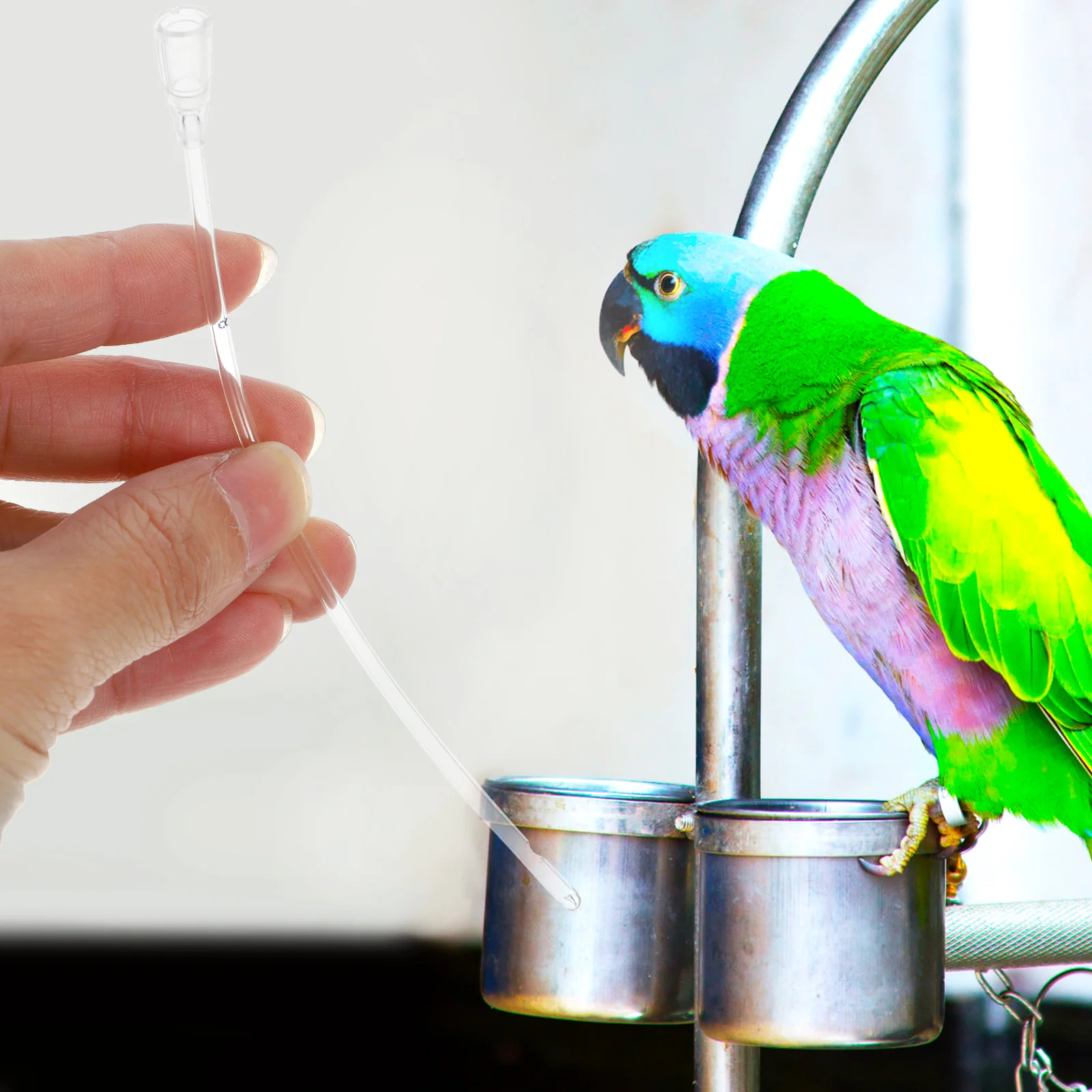 

5pcs Pet Baby Lightweight Durable Plastic Easy Clean Birds Feeding Hose Birds Feeding Hose Tool Supply