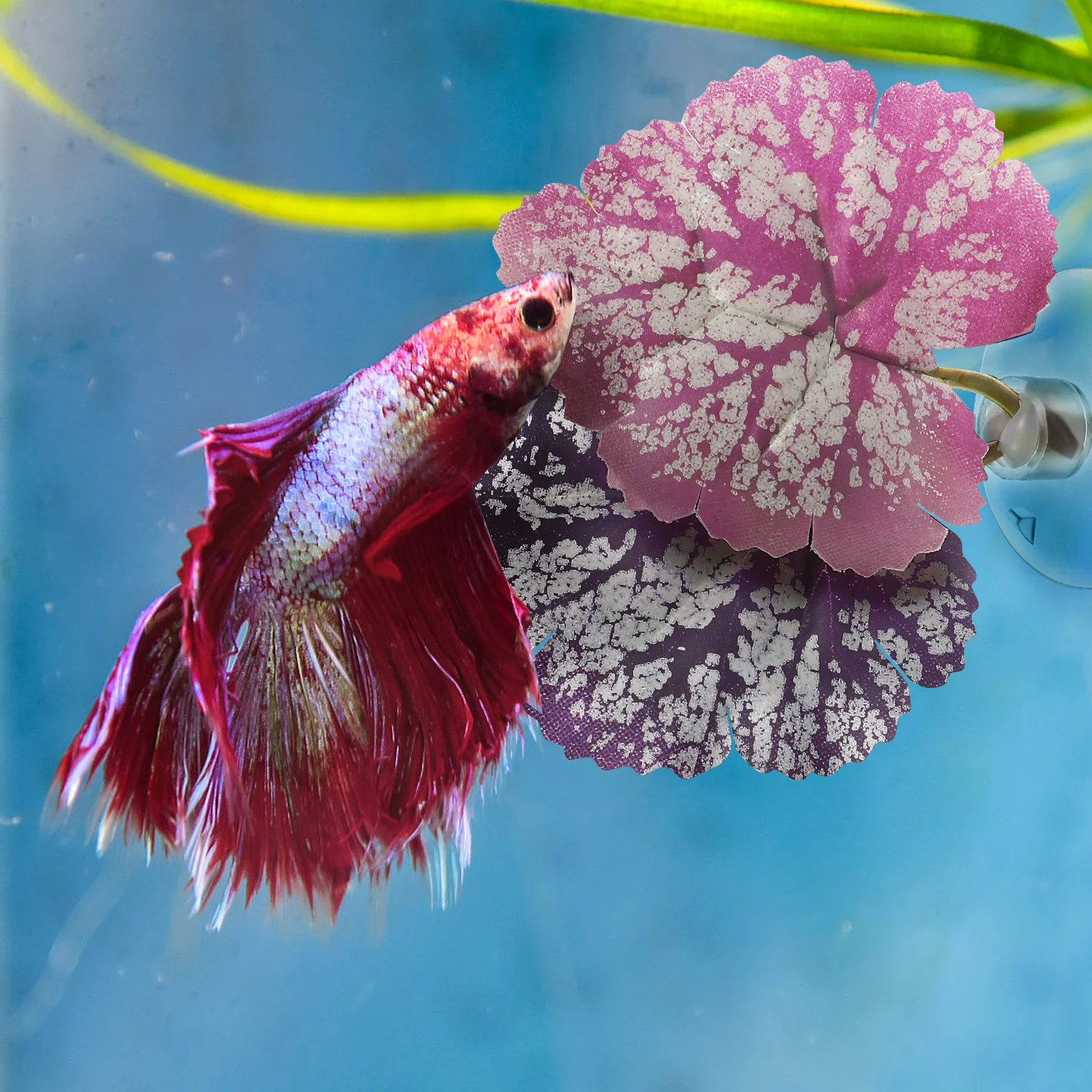 

2pcs Aquarium Leaf Hammock Premium Plastic Fish Tank Decoration Easy Install Suction Cup Vivid SceneryAquarium Habitat