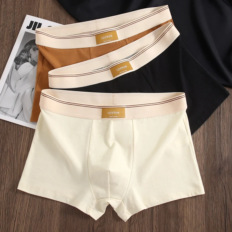We.Fine-Calzoncillos de algodón para hombre, ropa interior transpirable, Sexy, cómoda, de Color sólido, 3 piezas, 2024