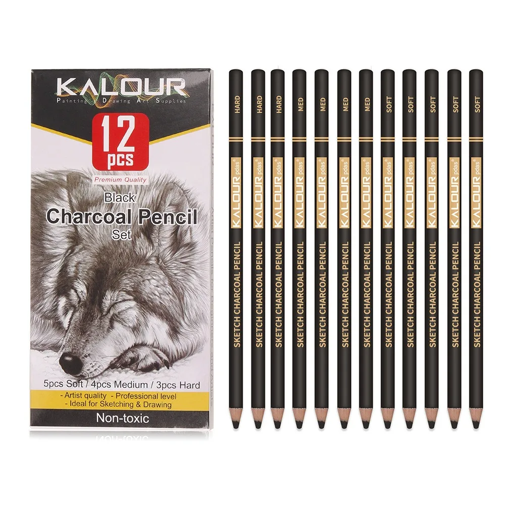 KALOUR Colored Charcoal Pencils Set, Professional 6/12 Pcs Pastel Chalk Drawing Kit for Sketching Shading Blending Portrait Art