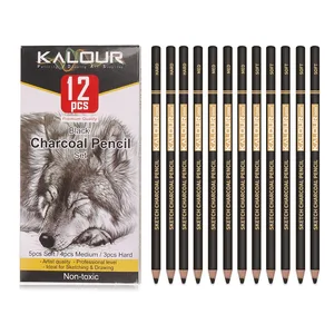 Kalour Colorful Coal Pencil Set, Professional Pastel Design Kit, Sketching Shading, Mixing Portrait Art, 6 12 PCs 8 Main Sales Pastel Oleoso - №6