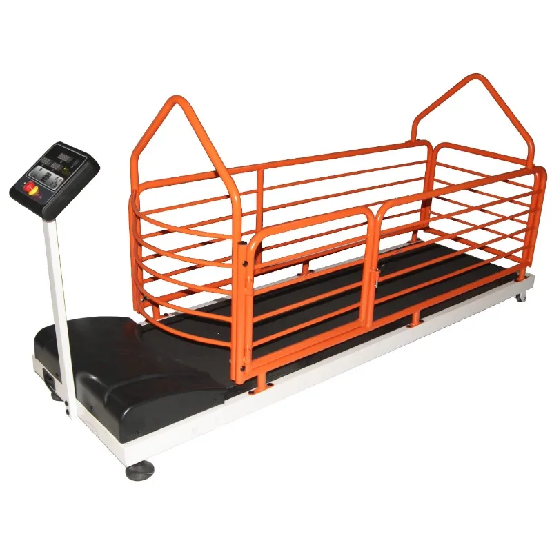 

Electric Pet Dog Treadmill: Dog Training Equipment for Home Use, with Pet Protection for Safe Running