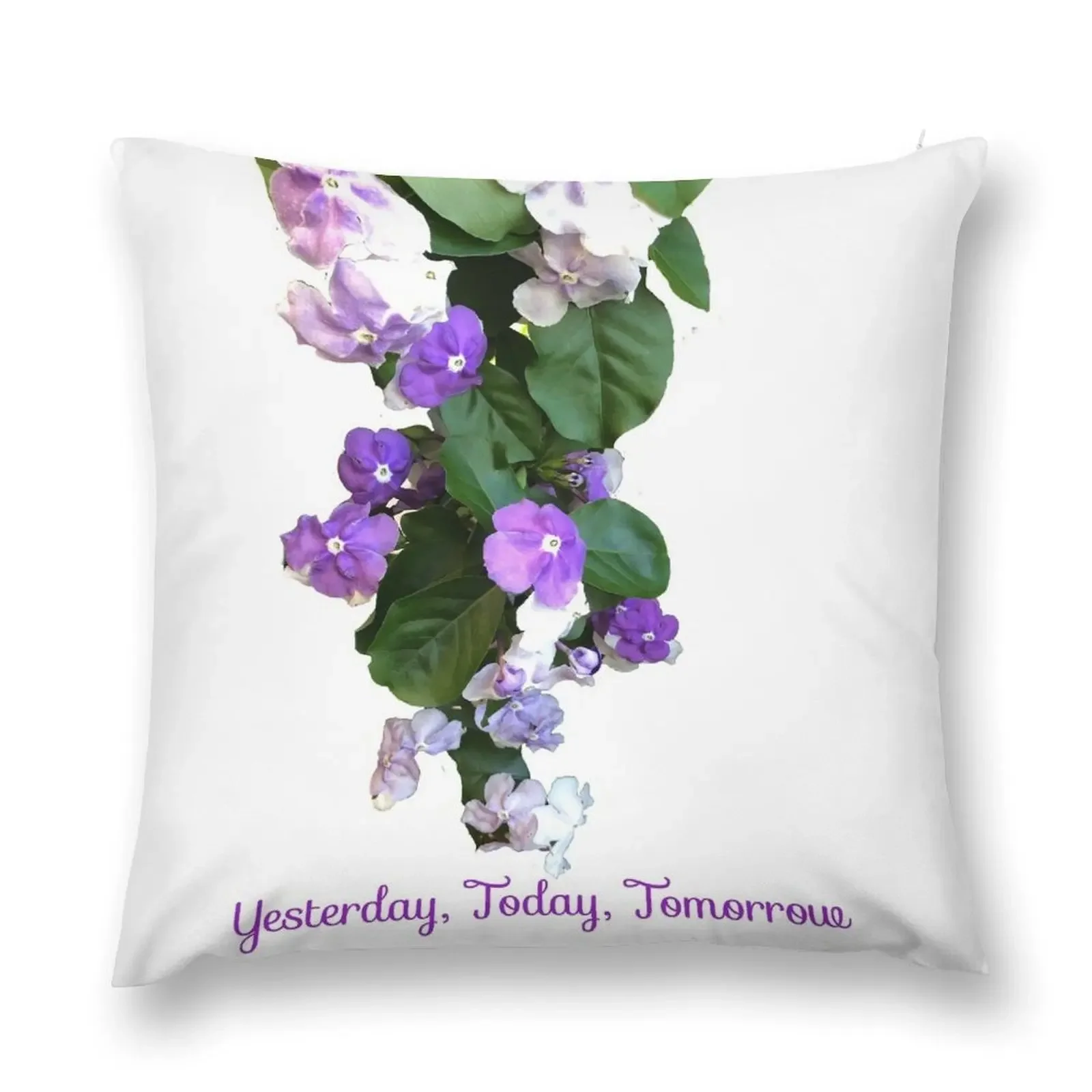 Yesterday, Today, Tomorrow Throw Pillow Pillow Cover Christmas Covers For Cushions pillow