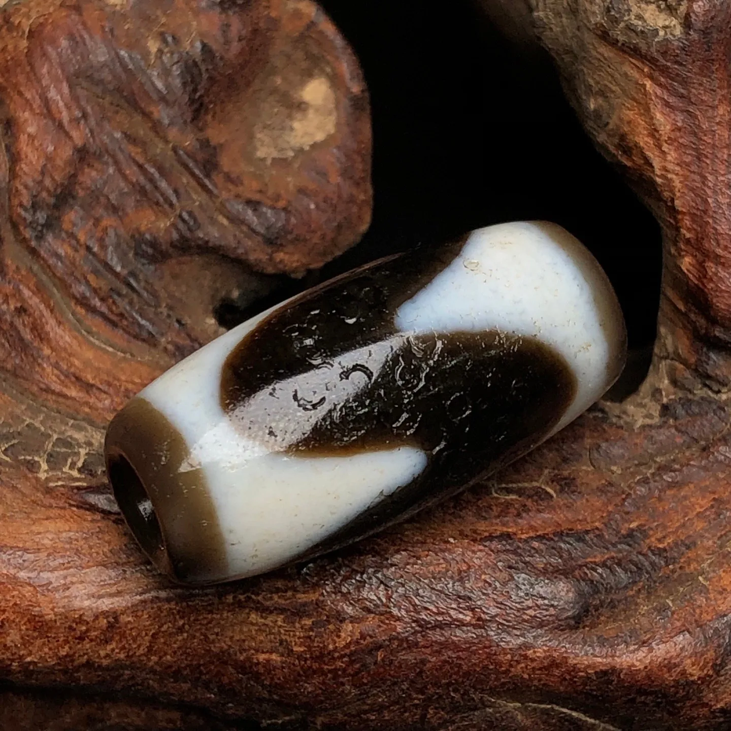 Rare Tibetan Buddhism Agate Tiger Tooth Dzi Bead Amulet Necklace Pendant G003