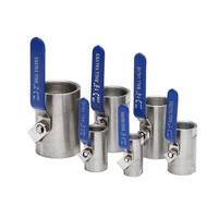 Stainless Steel BallValve DN15 DN20 DN25 DN32 DN40 DN50 SS 304 Female BSP with Vinyl Handle Silk Mouth Ball Valve Water Gas Oil