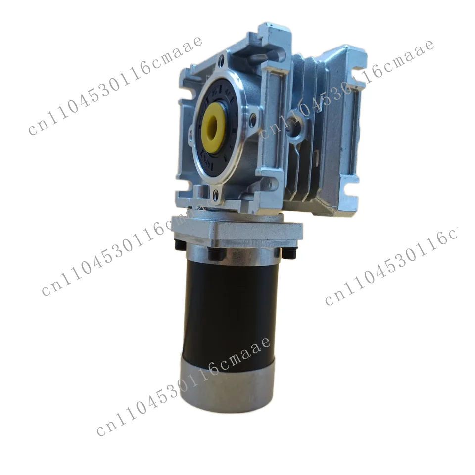High Torque 24V 60W 120W 200W 250W Brushless DC Worm Gear Motor RV for Lawn Mower