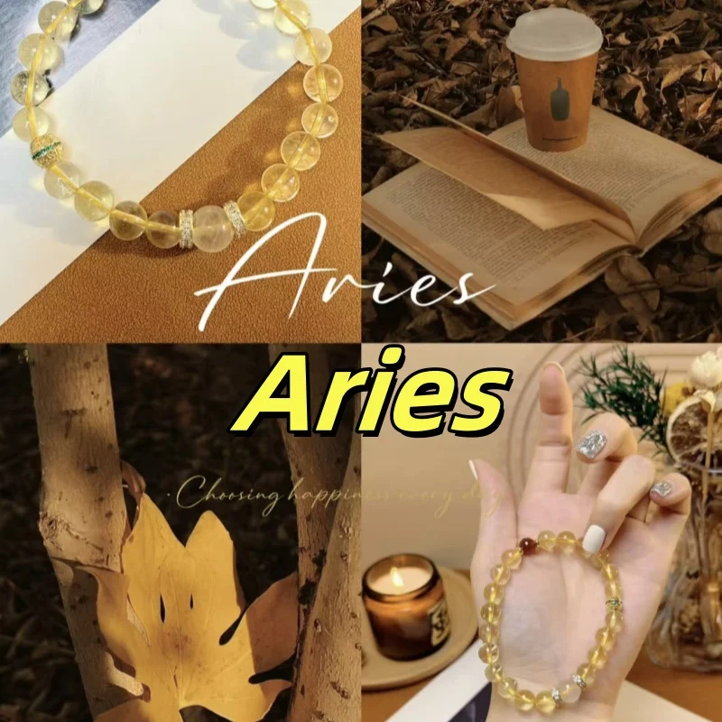 

Original 12 zodiac charm bracelet, best-selling fashion accessory, Aries crystal bracelet, couple love gift, exquisite jewelry,
