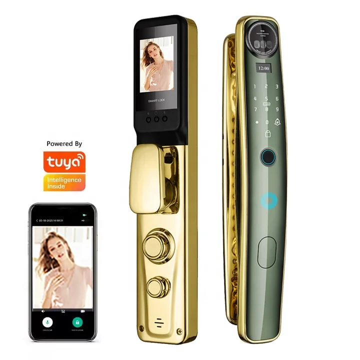 Classic European Retro Vintage Single Latch Smart Fingerprint & Password Digital Zinc Alloy Door Rim Face Type