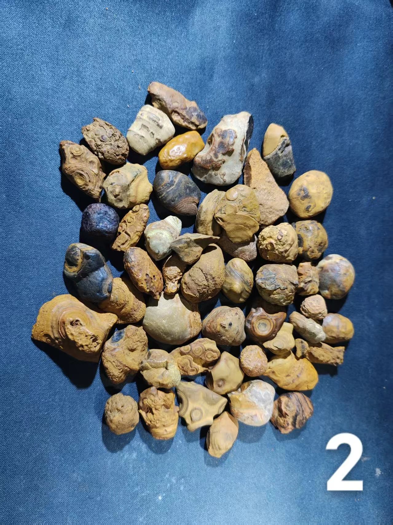 50pcs/lot gtian Bead RaSelected Premium Menw Stone Specimens Beautiful Unique with Eye Patterns Powerful Energy Stones