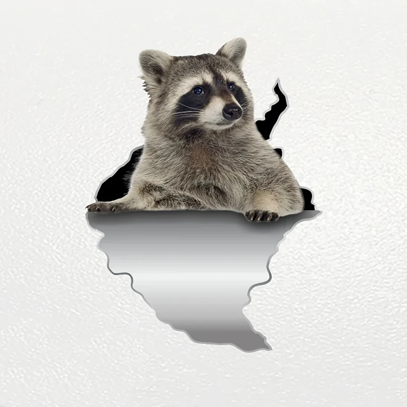 

V1147# Car Sticker Raccoon Pet Waterproof Vinyl Decal Car Accessories Decor Pegatinas Para Coche