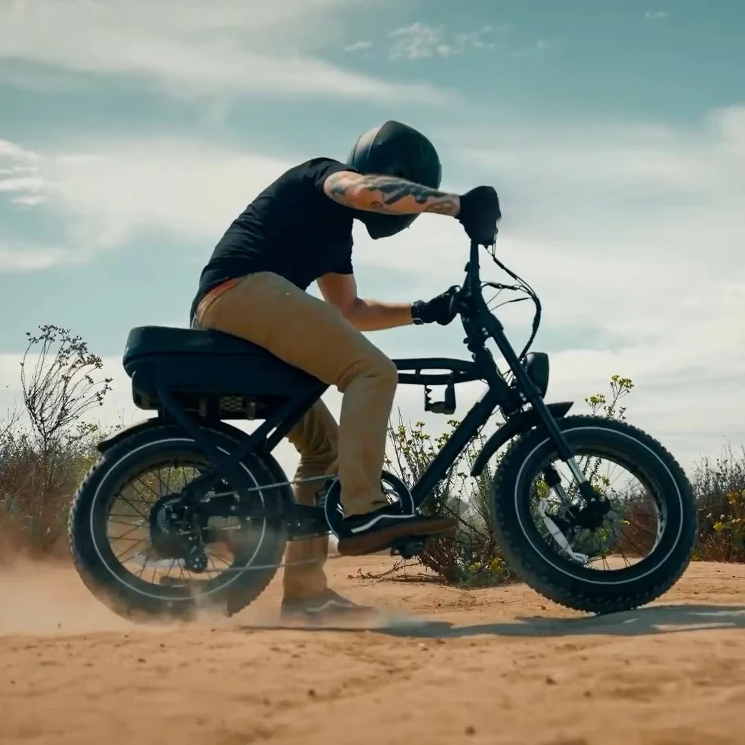 

SXLL New Design 2024 Electric Hybrid Bike 48V 1000W Fat Tire Electric Bike Dual Motor 20 Inch High Speed European Union US Wareh