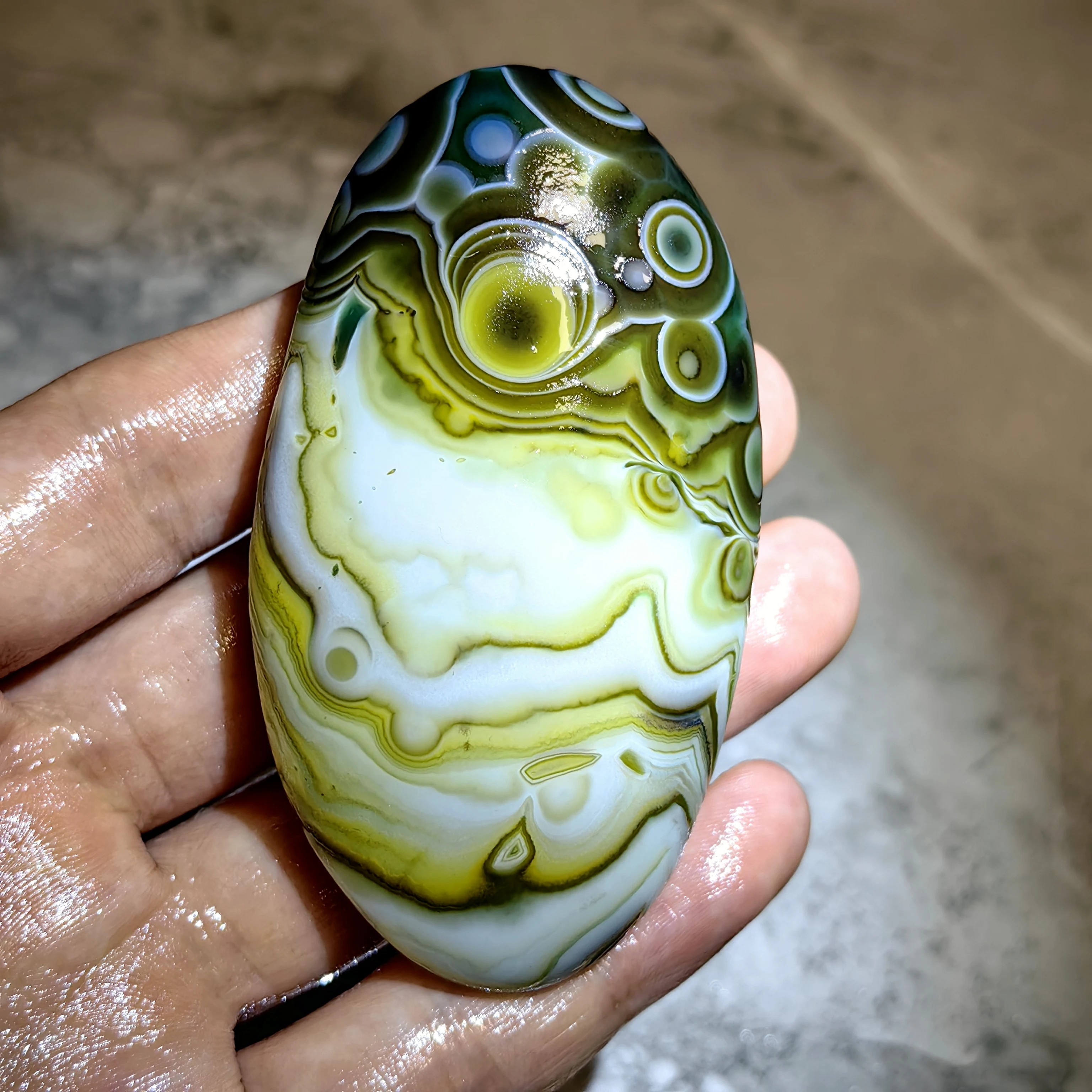 Pierres de palmier en agate naturelle pure, pierres brutes, pour attirer la chance, la prospérité, soulager le stress, décoration d'intérieur