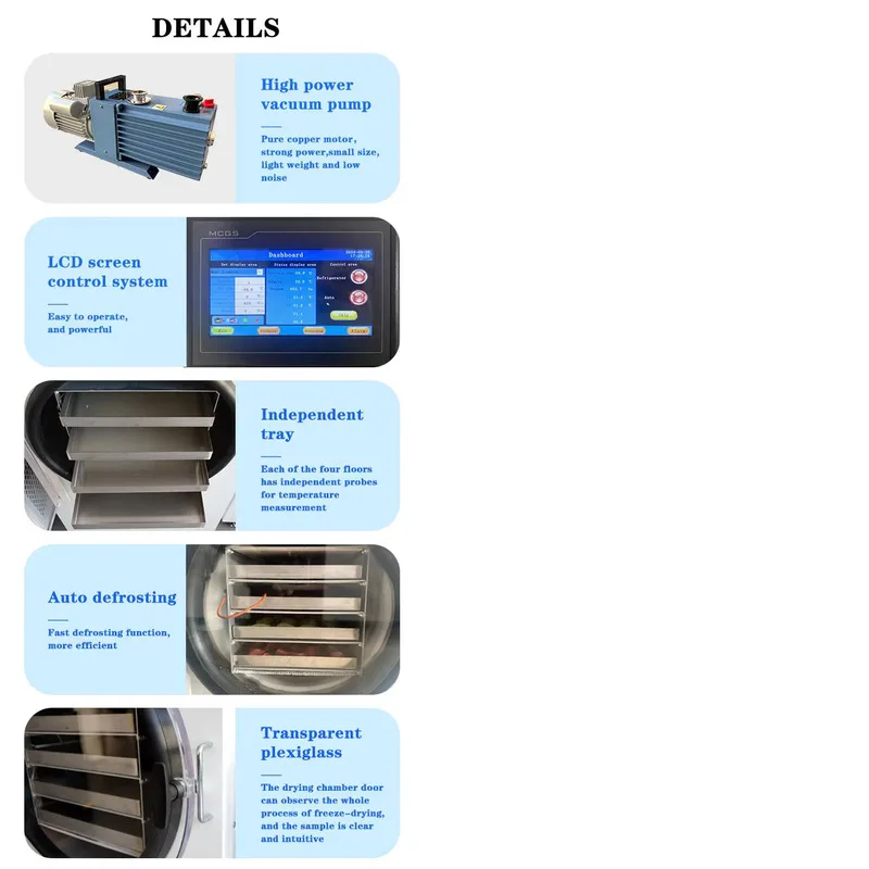 Industrial 12Kg 14Kg Lyophilizer Equipment Home Drying Machine Dried Meat Food Freeze Dryer For Fruit Vegetables