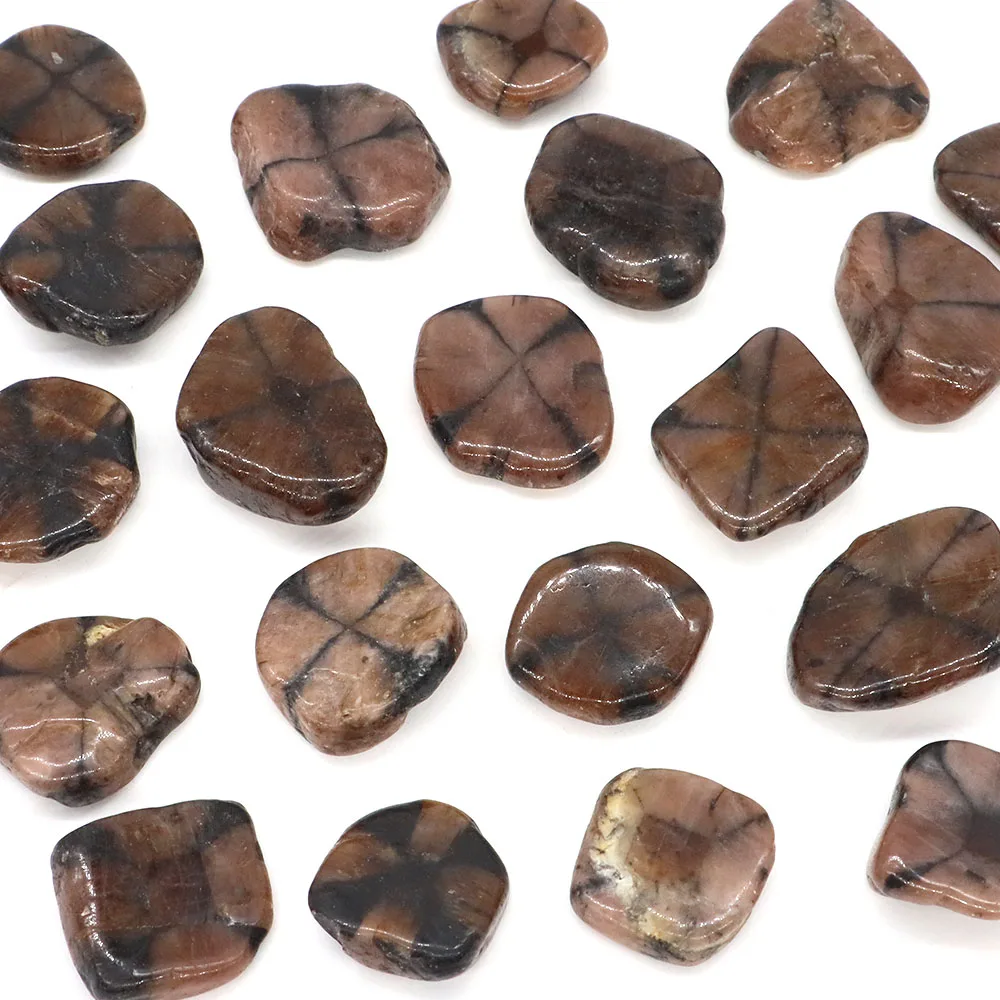 Chiastolite Flake Tumbled Stone Natural Healing Crystal Reiki Gem Energy Mineral Specimen Aquarium Garden Home Decor DIY Pendant