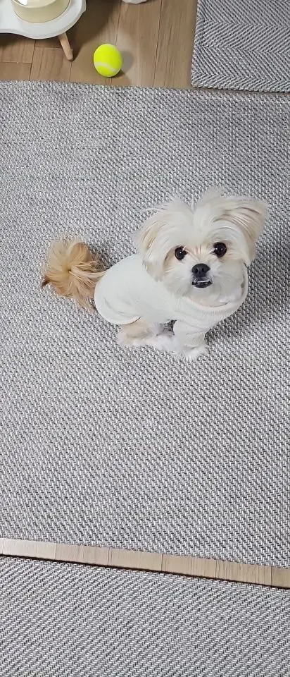 리뷰 사진