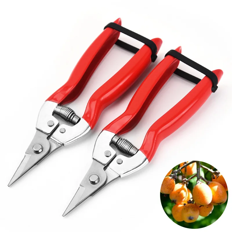 

Садовые секаторы из нержавеющей стали - ножницы для сбора фруктов с высокой веткой для деревьев и бонсай