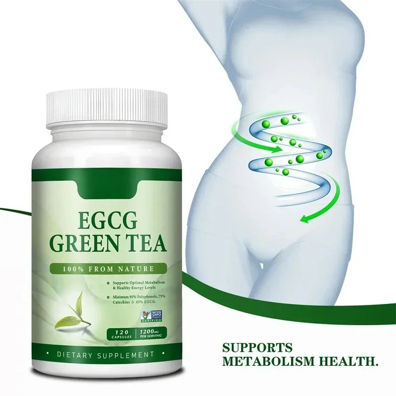 สารสกัดจากชาเขียว EGCG - ช่วยเ - Green Tea Extract Fat บทวิจารณ์และราคา
