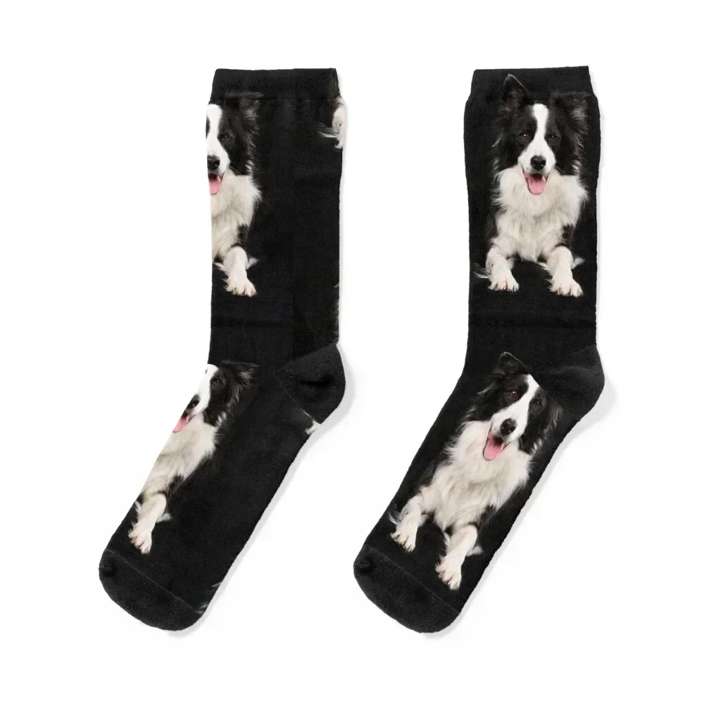 

Black and white border collie Socks Stockings snow anime basketball Mens Socks Women's