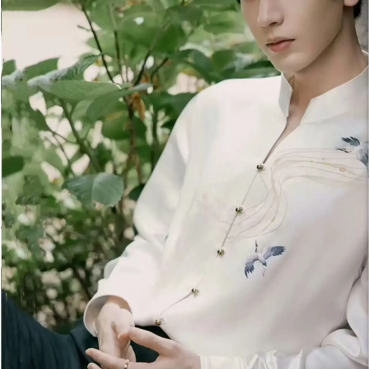 New Chinese Style Chinese Style Stand-up Collar Tang Suit Long Sleeve Chinese Feihe Embroidered Retro Chinese Style Shirt Top