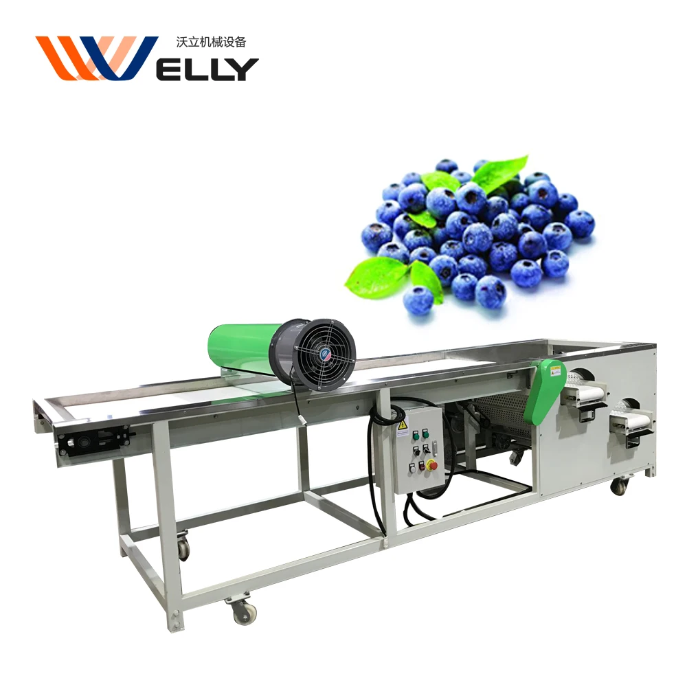 Industrial Blackberry Grader Color Damaged Blueberry Grading Machine Jujube Sorting Machine