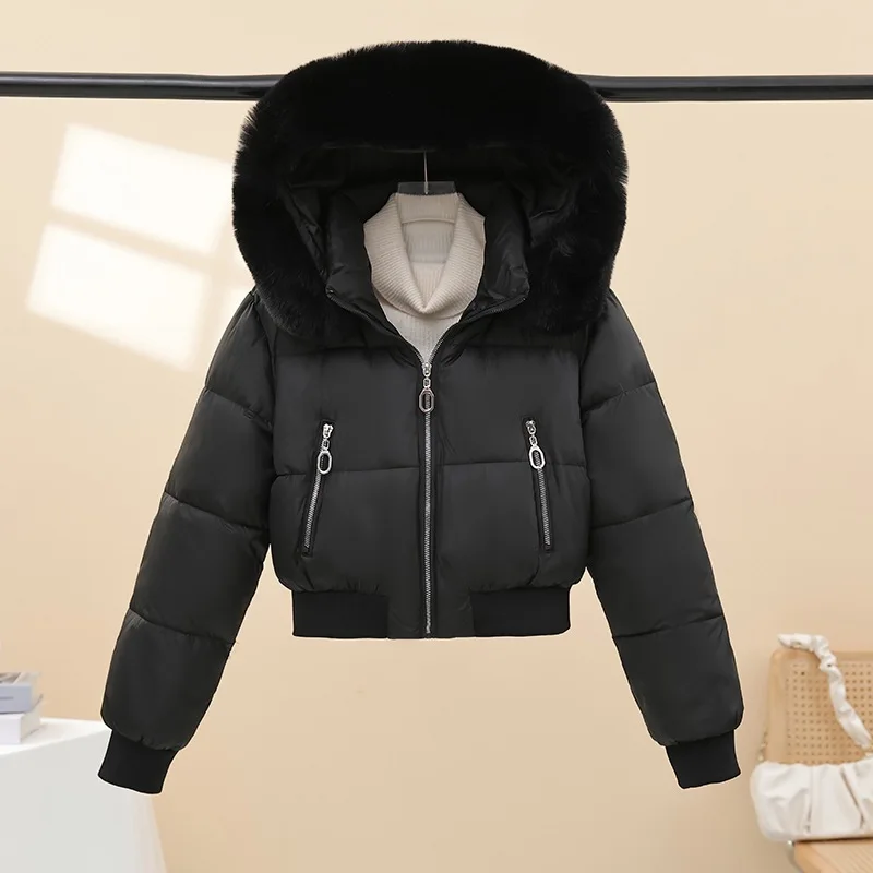 Winter Casual Versatile Cotton-Padded Jacket with Fur Collar Short Hooded Warm Coat New Style Women's Outdoor Puffer Jacket